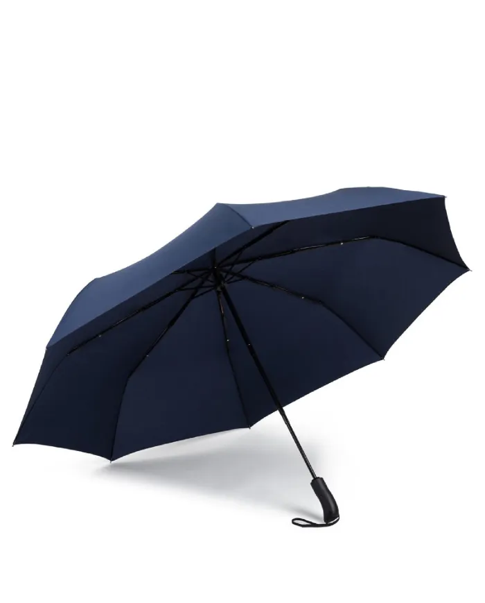https://raguso1963.it/21300-large_default/piquadro-ombrello-grande-apri-chiudi-automatico-blu.jpg