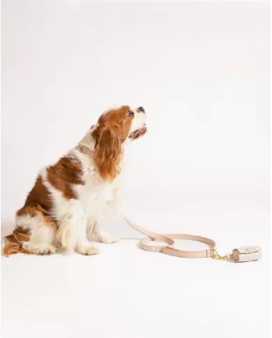 Coccinelle Porta sacchetti Pet Capsule Beige Coccinelle Porta sacchetti Pet Capsule Beige