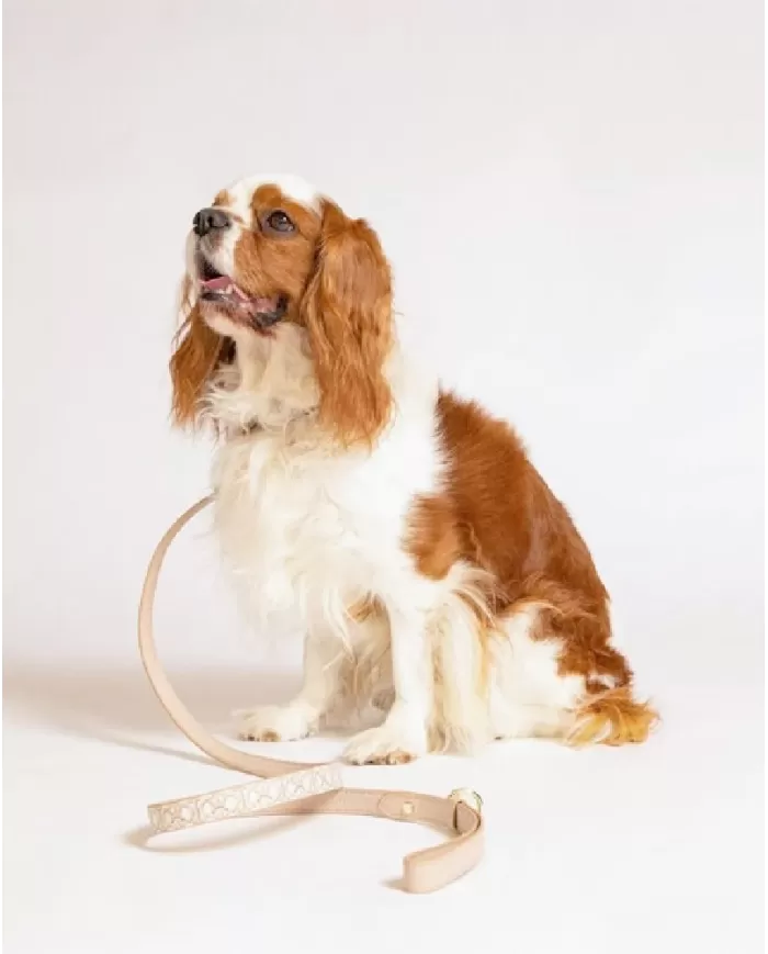 Coccinelle Guinzaglio tessuto monogram Pet capsule Beige